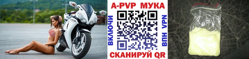 A PVP СК КРИС Корсаков
