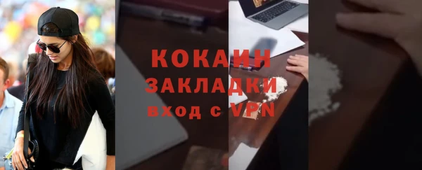 PSILOCYBIN Рославль