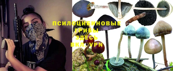 трава Балабаново